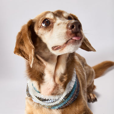 RAINBOW FLUORITE CANDY BEAD NECKLACE