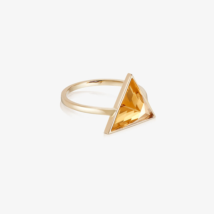 Citrine Guardian Ring (Gold) (Large) – Rock + Raw Jewellery